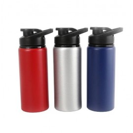 BOTELLA ALUMINIO 21CM 600ML  NS249661