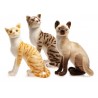 GATO SIAMES PARADO 38CM 4524