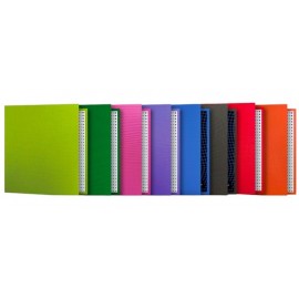 CARPETA REXON A4 PVC COLOR 20302